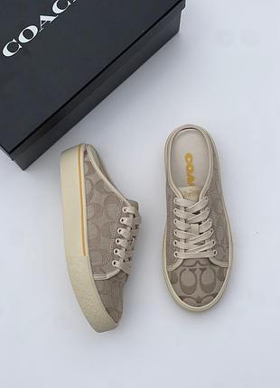 Кеди coach кеды