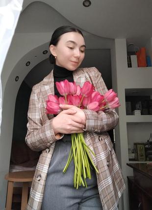 Жакет