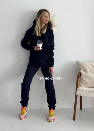 Спортивний костюм жіночий базовий теплий на флісі флісовий якісний пеньє чорний бежевий рожевий сірий осінній на осінь демісезонний батал