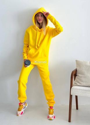 Спортивний костюм жіночий базовий теплий на флісі флісовий якісний пеньє чорний бежевий рожевий сірий осінній на осінь демісезонний батал