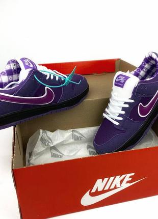 Демісезон nike sb dunk low purple lobster3 фото