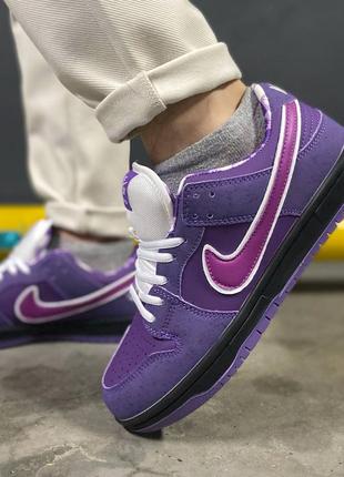 Демисезон nike sb dunk low purple lobster2 фото