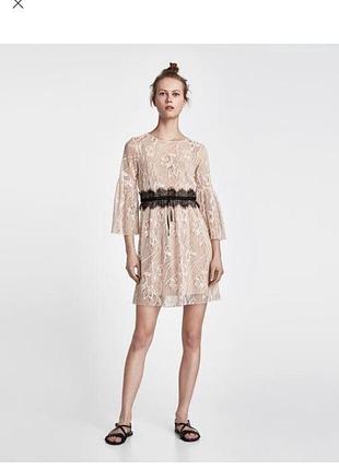 Сукня zara