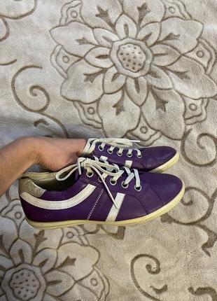 Кеди ecco