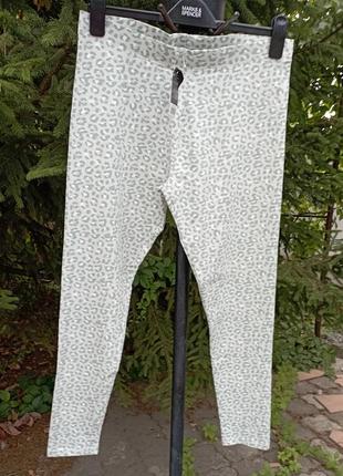 Леггинсы esmara, l