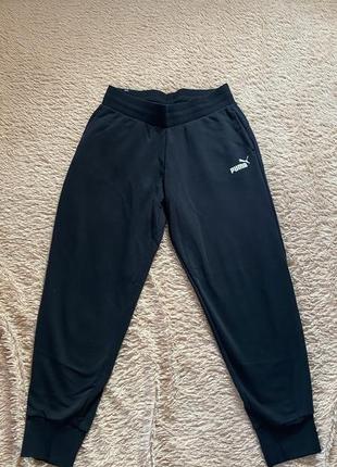 Спортивні штани puma