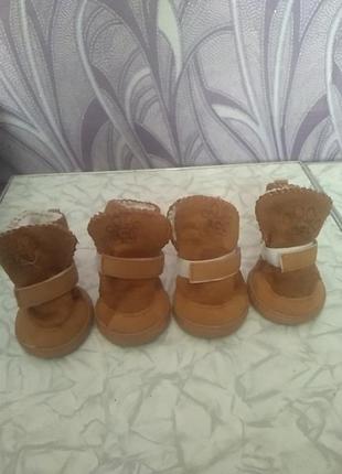 Обувь для собачки