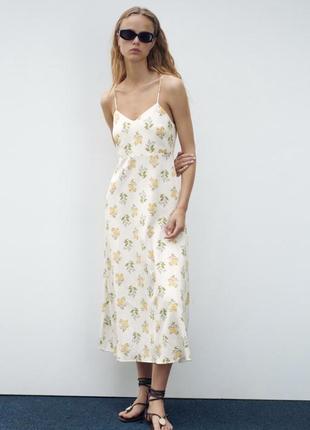 Zara сукня міді, s, m1 фото