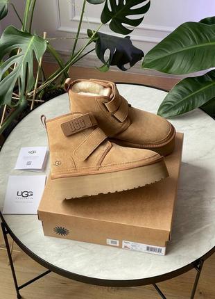 Ugg neumel platform chukka chestnut