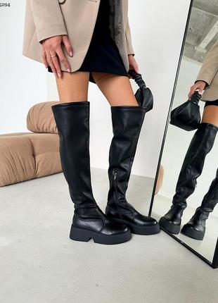 Ботфорти жіночі демі/зима