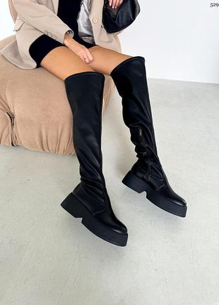 Ботфорти жіночі демі/зима