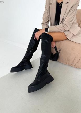 Ботфорти жіночі демі/зима