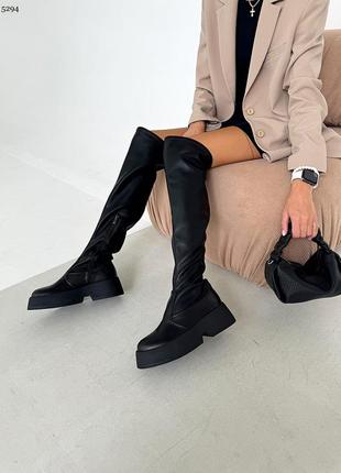 Ботфорти жіночі демі/зима