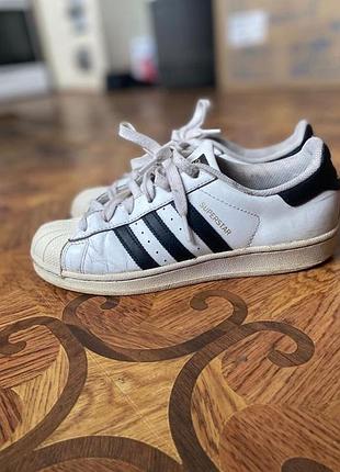 Кросівки адідас superstar