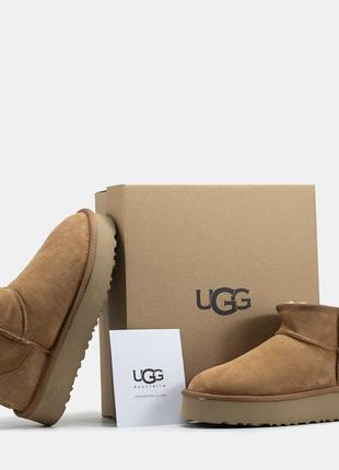 Женские угги ugg ultra mini platform