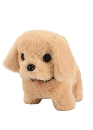 М'який інтерактивний песик (ходить, гавкає, махає хвостиком, на батарейках) mp2191