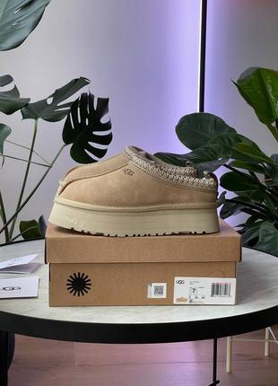 Ugg tasman platform beige 3
