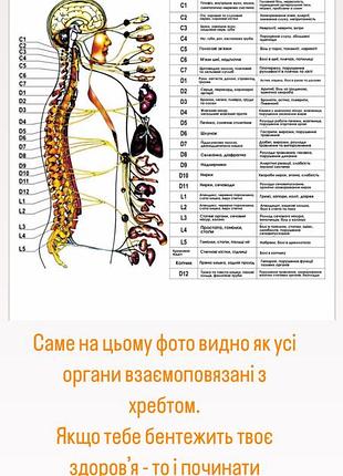 Энергетический сеанс божественный выравнивания