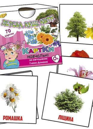 Картки глена домана. дерева, чагарники, квіти (укр) (мкд0017)