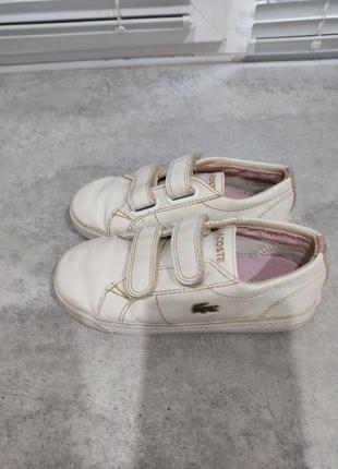 Кросiвки lacoste