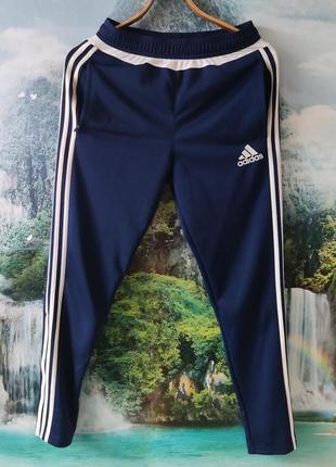 Спортивні штани adidas