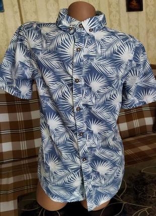 Бавовняна теніска на 12-13 років (158 см).  "f&amp;f" бангладеш