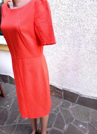 Плаття -футляр. 3