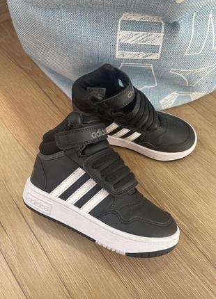 Хай топи кросівки кеди adidas