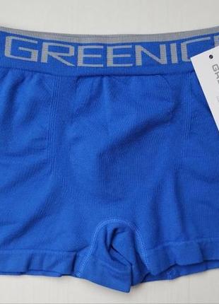 Боксеры мужские greenice бесшовные синий m\l 4823