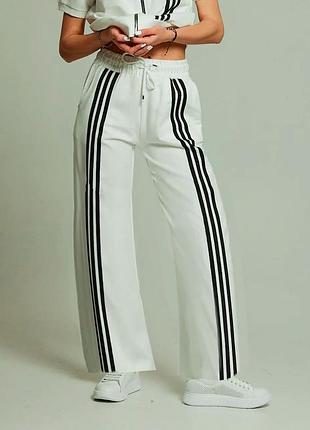 Палаццо з лампасами