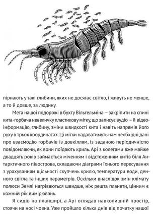 Книга подглядывая за китами: прошлое, настоящее и будущее крупнейших в мире животных....