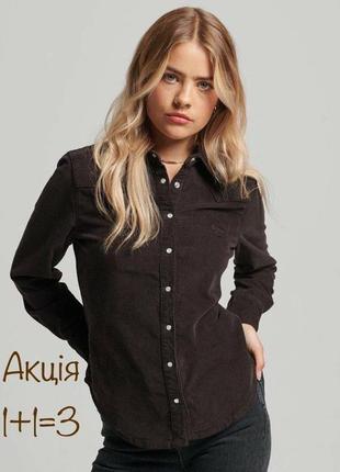 Новая вельветовая рубашка superdry шоколадного цвета levis zara