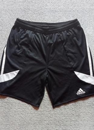 Шорти adidas climalite