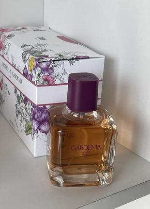 Zara gardenia
