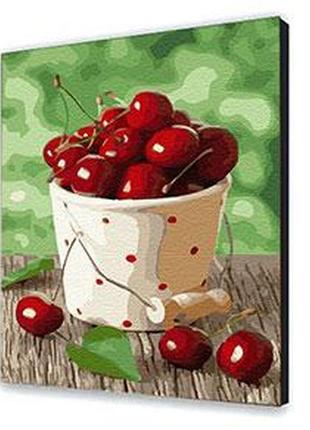 Картина за номерами вишнева спека 40х50 см арт-крафт