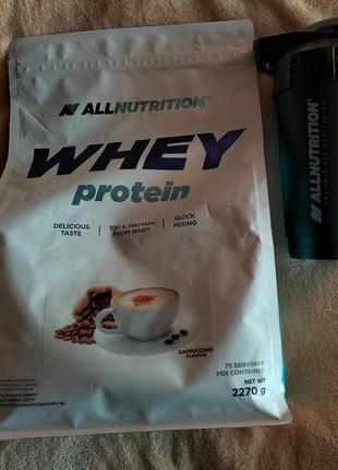 Протеин allnutrition, шейкер
