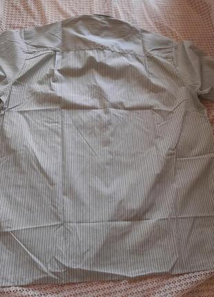 Классическая рубашка в полоску с длинным рукавом hazard7 фото