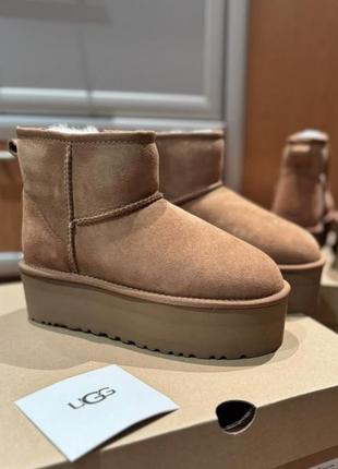 Уг уггі класік міні платформ уггі замша овчина ugg classic mini platform xl chestnut
