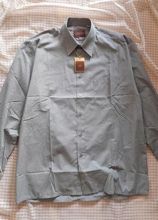 Классическая серая рубашка в полоску с длинным рукавом cardelli2 фото