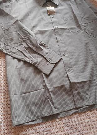 Класична сіра сорочка в смужку з довгим рукавом cardelli3 фото