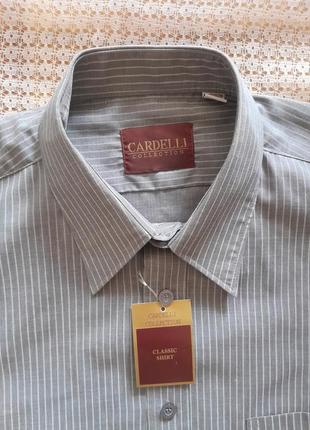 Класична сіра сорочка в смужку з довгим рукавом cardelli7 фото