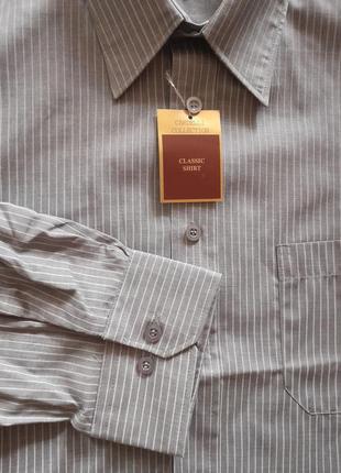 Класична сіра сорочка в смужку з довгим рукавом cardelli5 фото