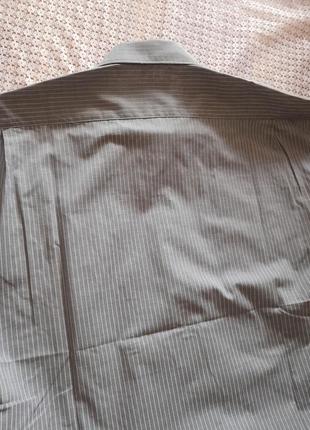 Класична сіра сорочка в смужку з довгим рукавом cardelli9 фото