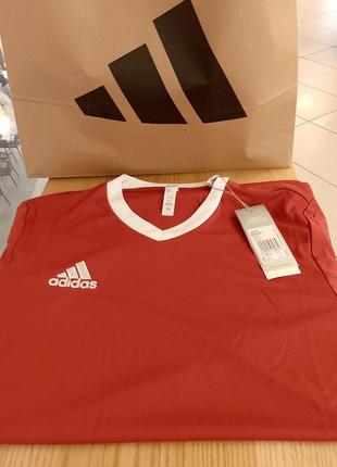 Adidas, летняя мужская коллекция, размер м