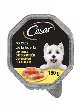 Консерви для собак cesar паштет "садові рецепти з гарніром" курка з гарніром і овочами 150 г