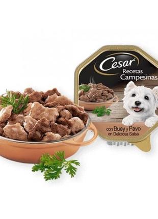 Консерви для собак cesar паштет "садові рецепти з гарніром" індичка з гарніром і овочами 150 г