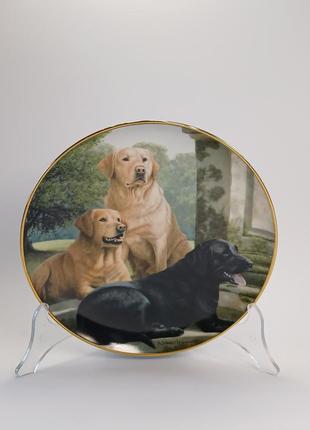 Декоративная тарелка "canine companions"