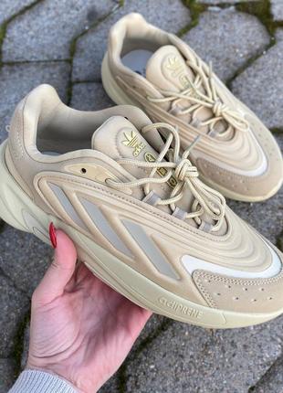 Adidas ozelia beige adi-0281 44