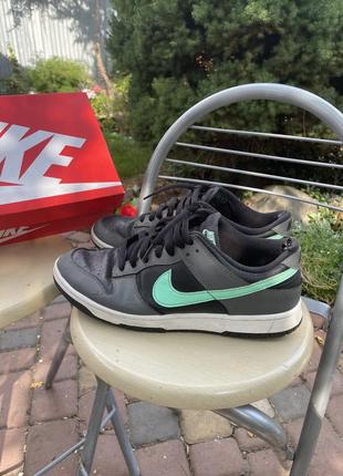 Nike dunk 44,5 retro 5