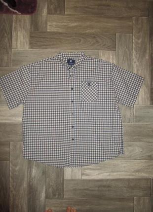 Рубашка рубашка в клетку батал